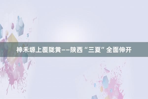 神禾塬上覆陇黄——陕西“三夏”全面伸开