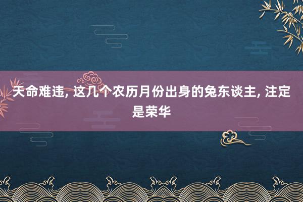 天命难违, 这几个农历月份出身的兔东谈主, 注定是荣华