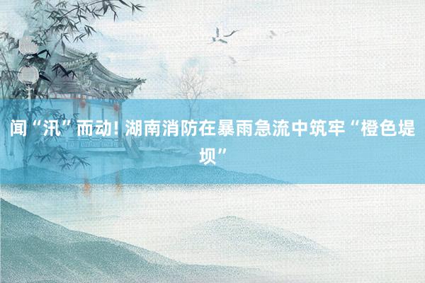 闻“汛”而动! 湖南消防在暴雨急流中筑牢“橙色堤坝”