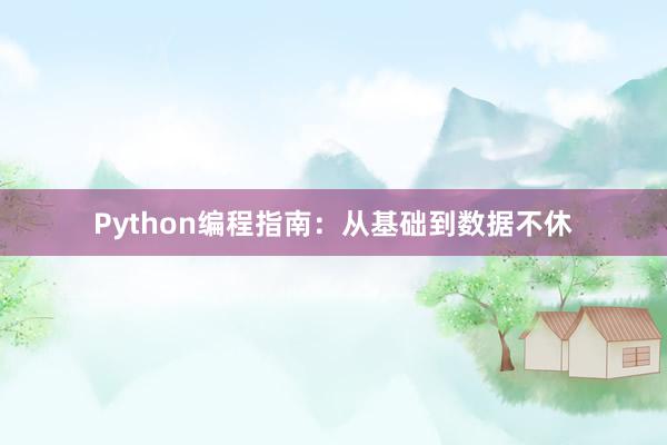 Python编程指南：从基础到数据不休