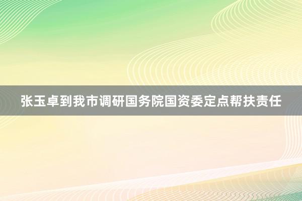 张玉卓到我市调研国务院国资委定点帮扶责任