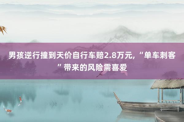 男孩逆行撞到天价自行车赔2.8万元, “单车刺客”带来的风险需喜爱