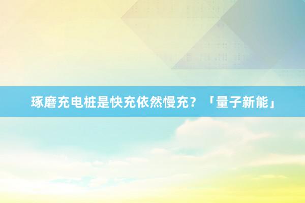 琢磨充电桩是快充依然慢充？「量子新能」