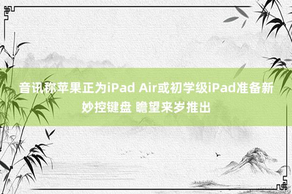 音讯称苹果正为iPad Air或初学级iPad准备新妙控键盘 瞻望来岁推出