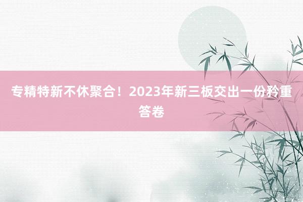 专精特新不休聚合！2023年新三板交出一份矜重答卷