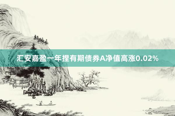 汇安嘉盈一年捏有期债券A净值高涨0.02%